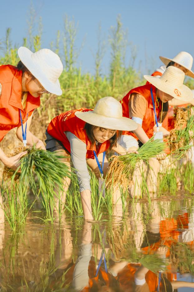 【学习强国】江西上饶：万年稻作溯文明 青春步履赋乡村